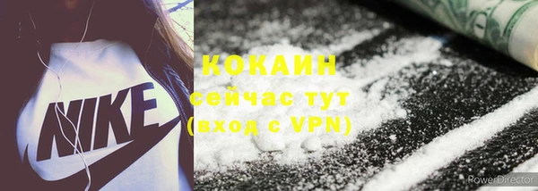 крисы Аркадак