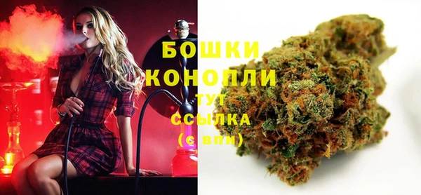 крисы Аркадак