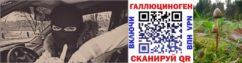 Псилоцибиновые грибы прущие грибы где купить Починок